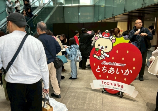 コリラックマ手持ちパネル